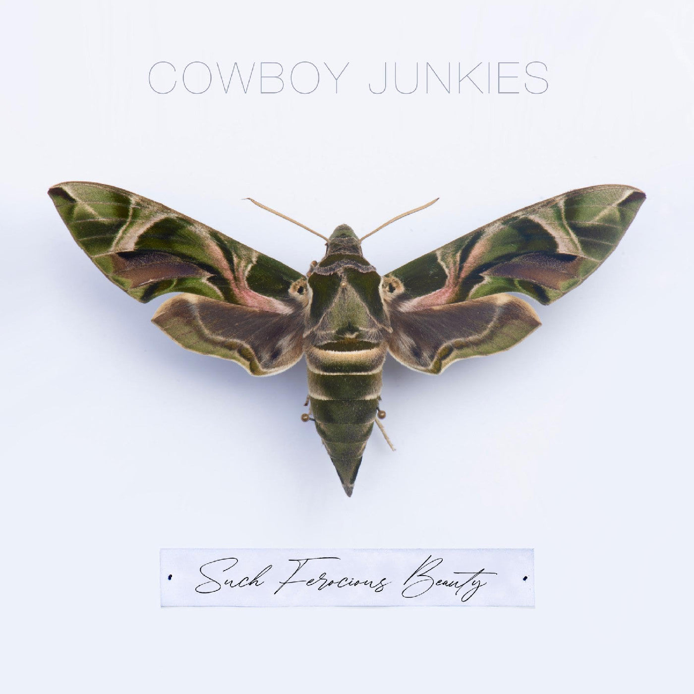 Cowboy Junkies Such Ferocious Beauty (Green Translucent Vinyl)