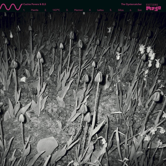 CUCINA POVERA & ELS The Oystercatcher