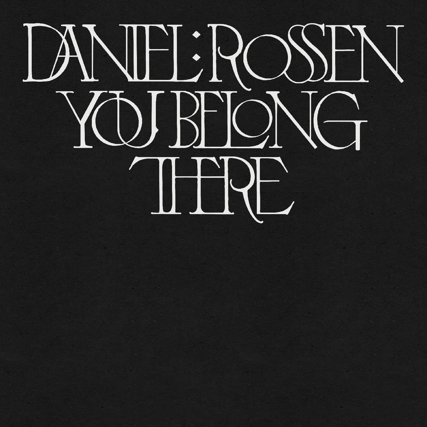 Daniel Rossen You Belong There