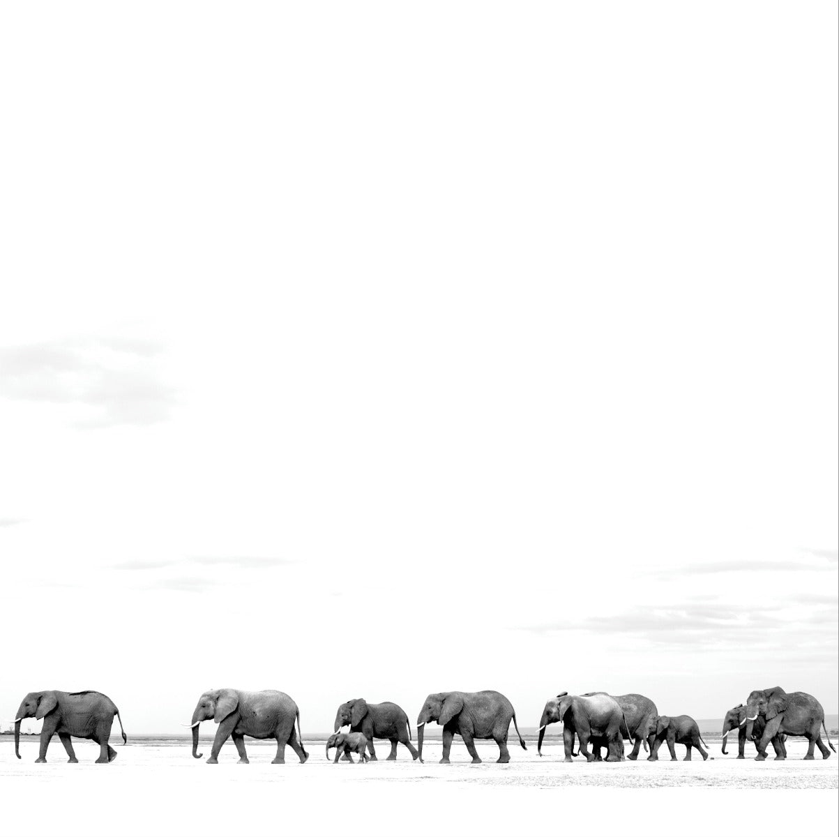 Dave Matthews Band Where Are You Going: The Singles (2 Lp's)