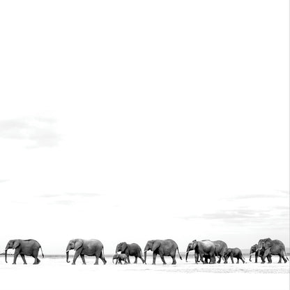 Dave Matthews Band Where Are You Going: The Singles (2 Lp's)