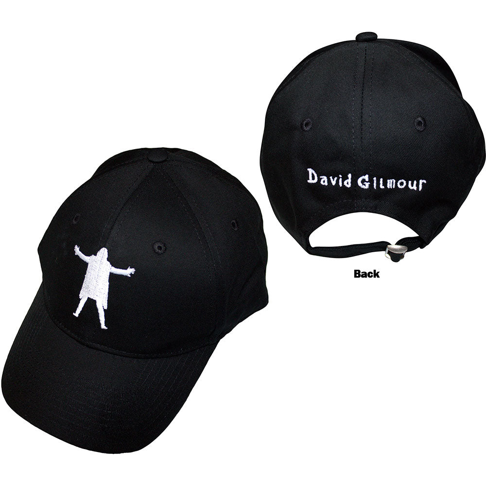 David Gilmour Luck & Strange Black