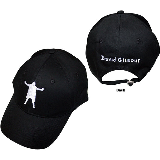 David Gilmour Luck & Strange Black