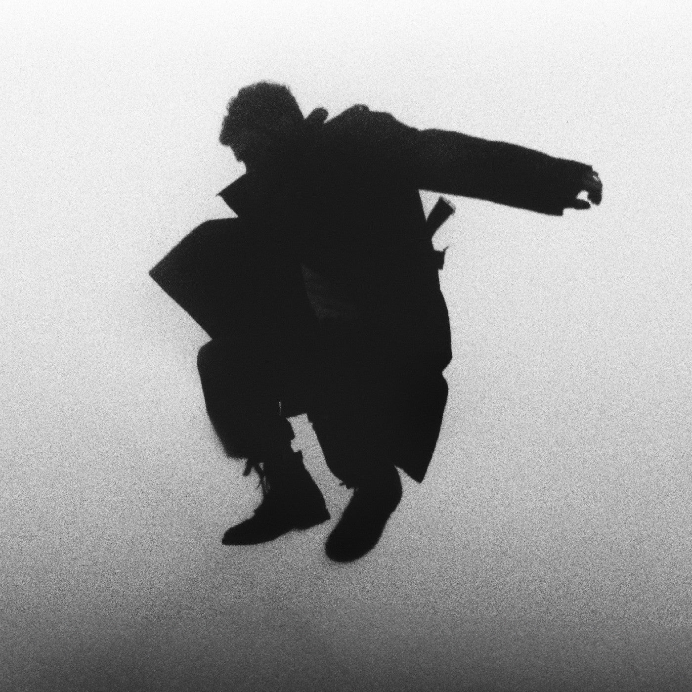 Del Water Gap Chasing The Chimera (Clear Vinyl)