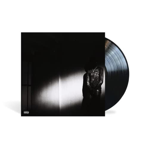 Destroy Lonely NO STYLIST [LP]