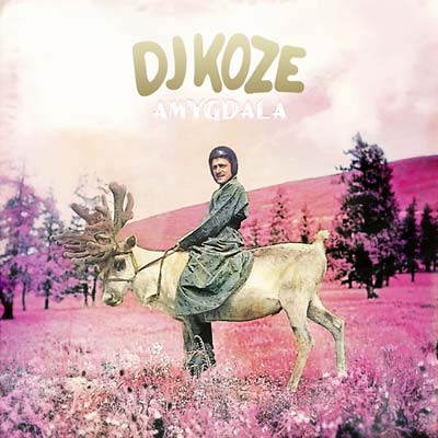 DJ Koze Amygdala