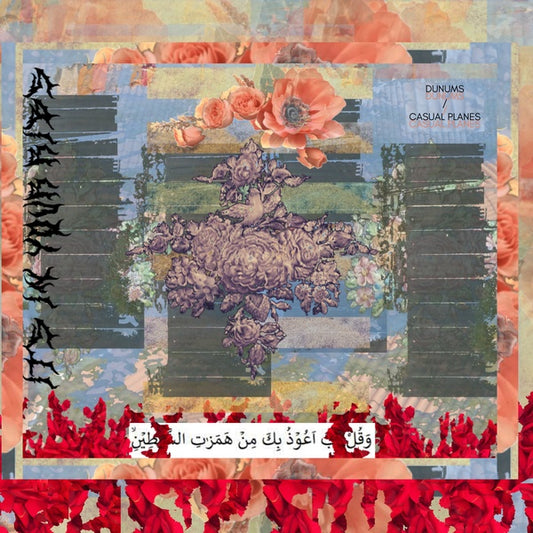 DUNUMS/CASUAL PLANES Its In Your Ribs