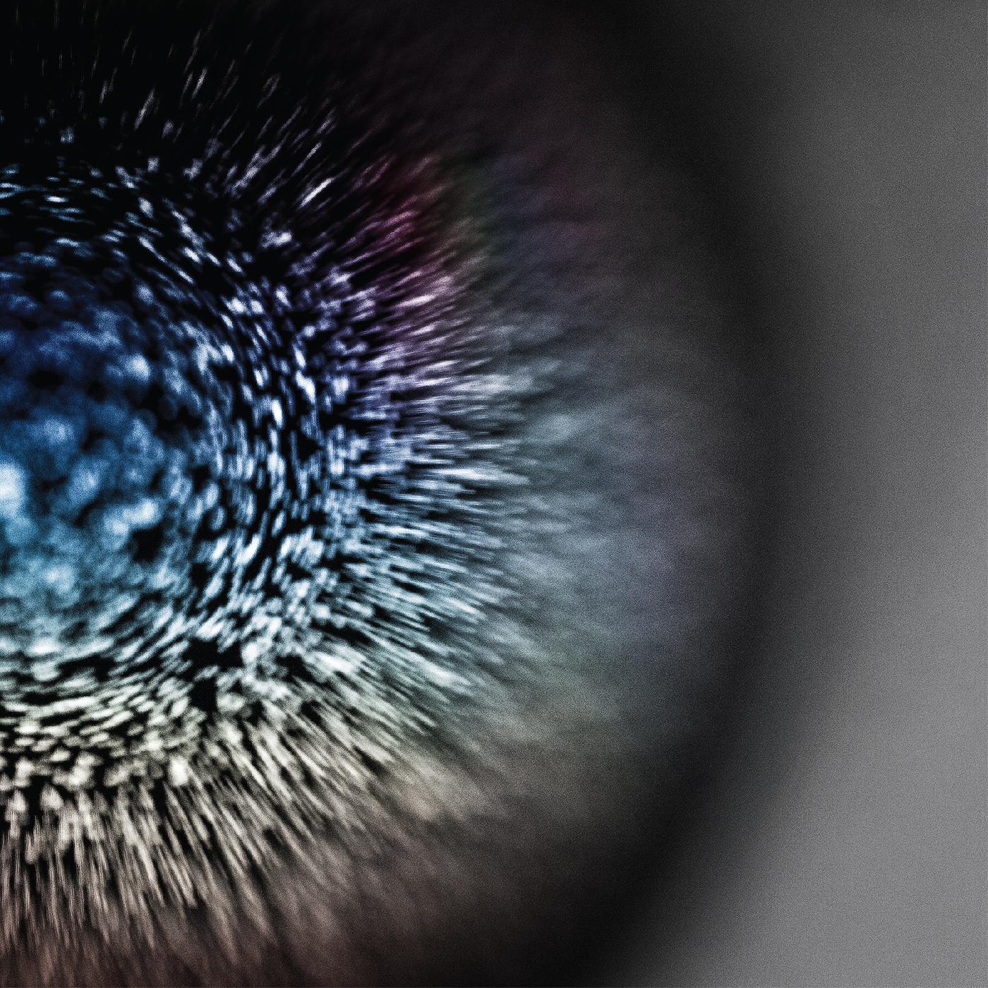 Emptyset Blossoms