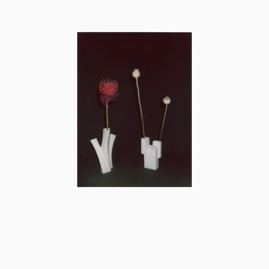 FELICIA ATKINSON The Flower And The Vessel