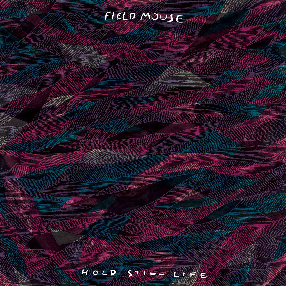 Field Mouse Hold Still Life