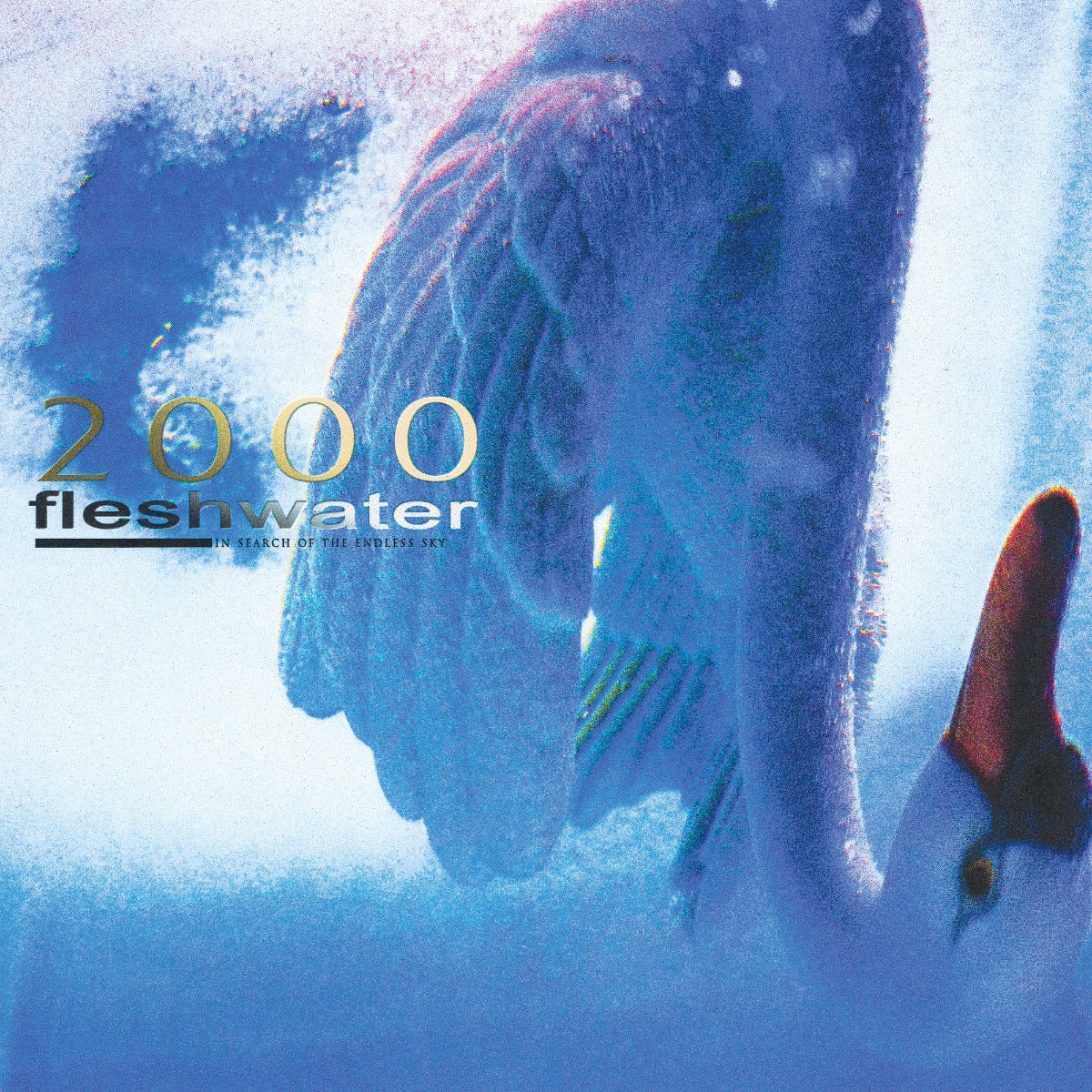 Fleshwater 2000: In Search Of The Endless Sky (Metallic Blue Vinyl)
