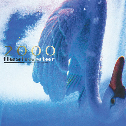 Fleshwater 2000: In Search Of The Endless Sky (Metallic Blue Vinyl)