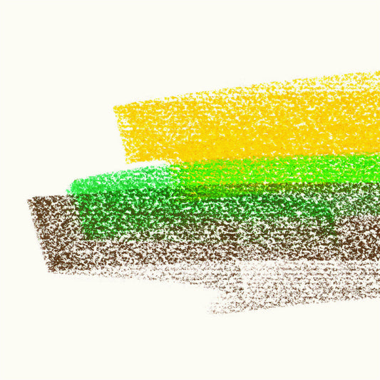 Flore Laurentienne Volume Iii