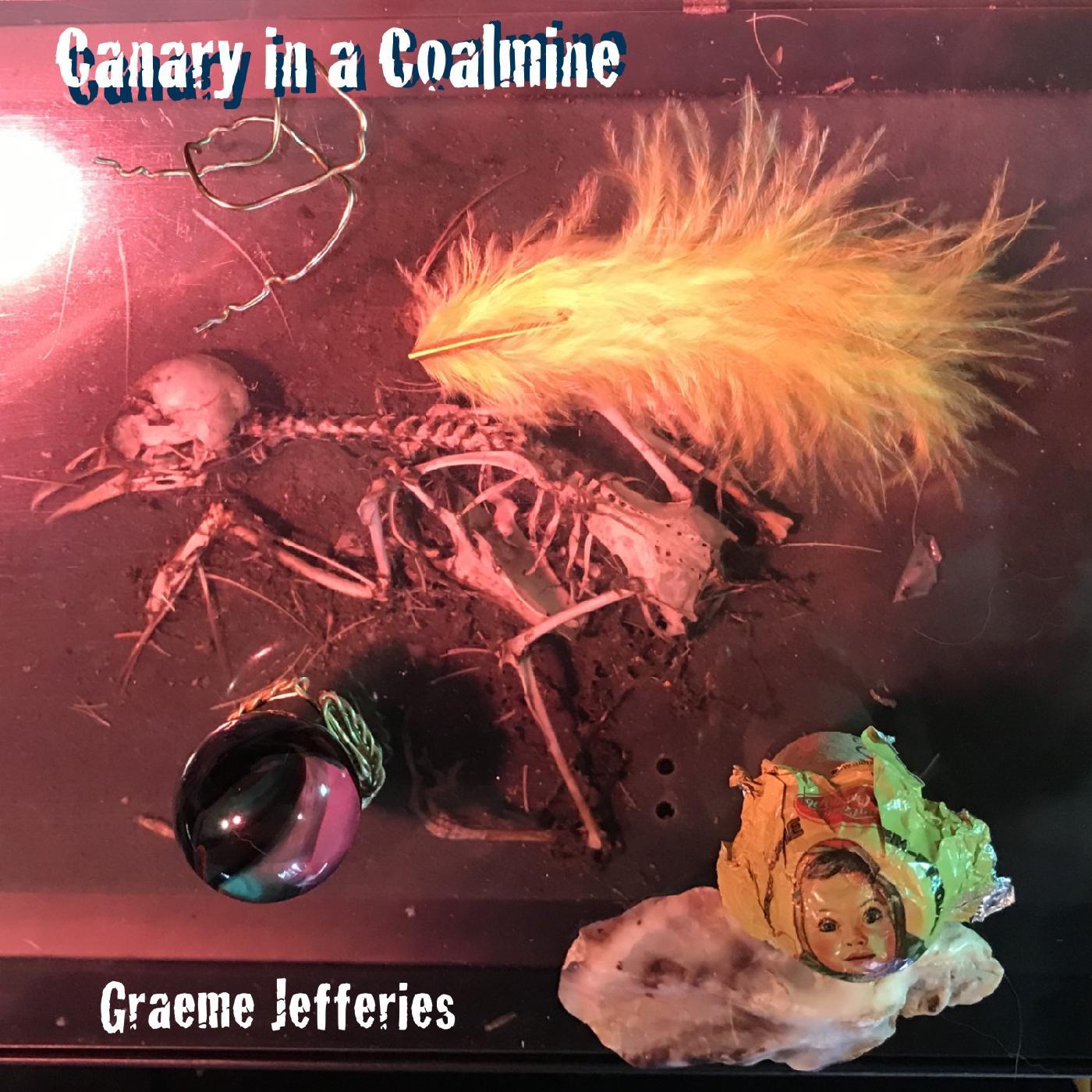 Graeme Jefferies Canary in a Coalmine