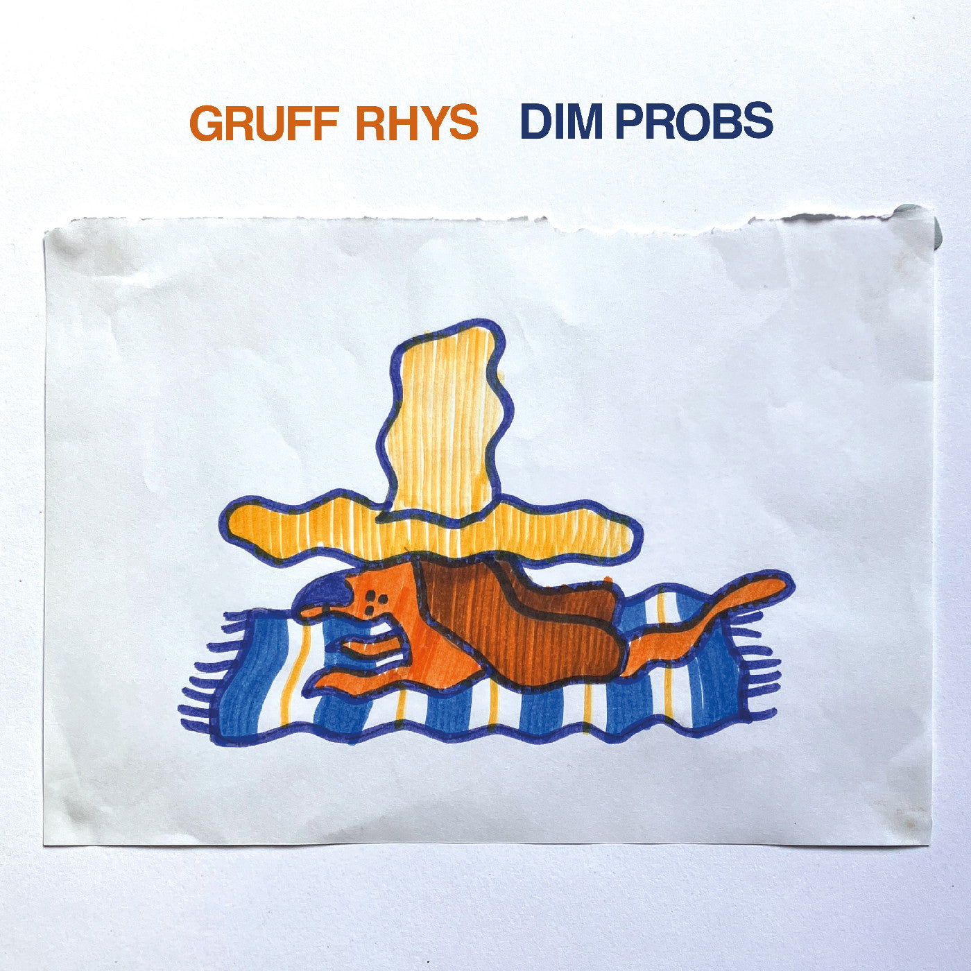 Gruff Rhys Dim Probs