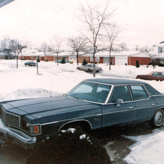 His Name Is Alive Return To Never (Home Recordings 1979 - 1986 Vol 2) (COLOR VINYL)