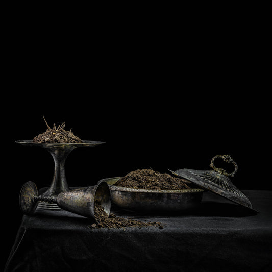 Holy Scum All We Have Is Never (Purple Vinyl)