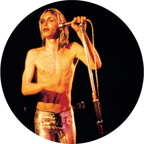 Iggy & The Stooges More Power - A Gorgeous Picture Disc Vinyl (Picture Disc Vinyl LP, Remastered)