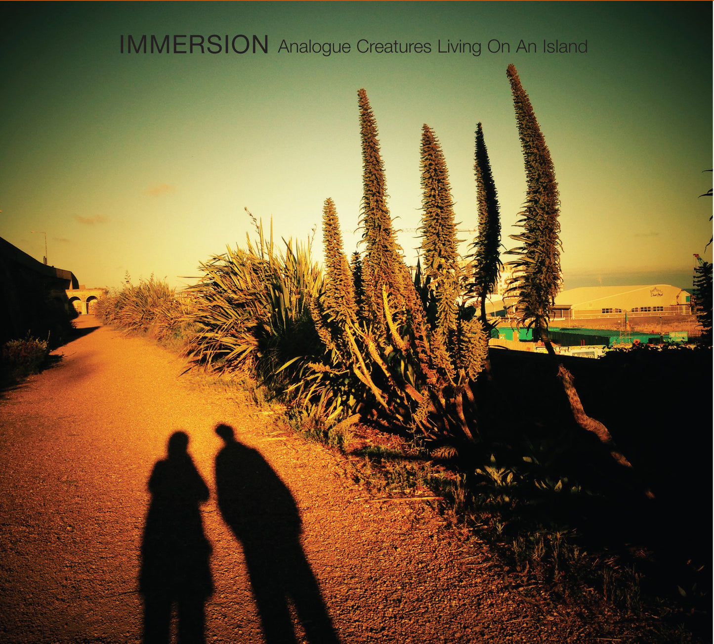 Immersion Living On An Island - 10"