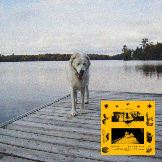 Jaguar Sun Daisy (Black And Yellow Swirl Vinyl)