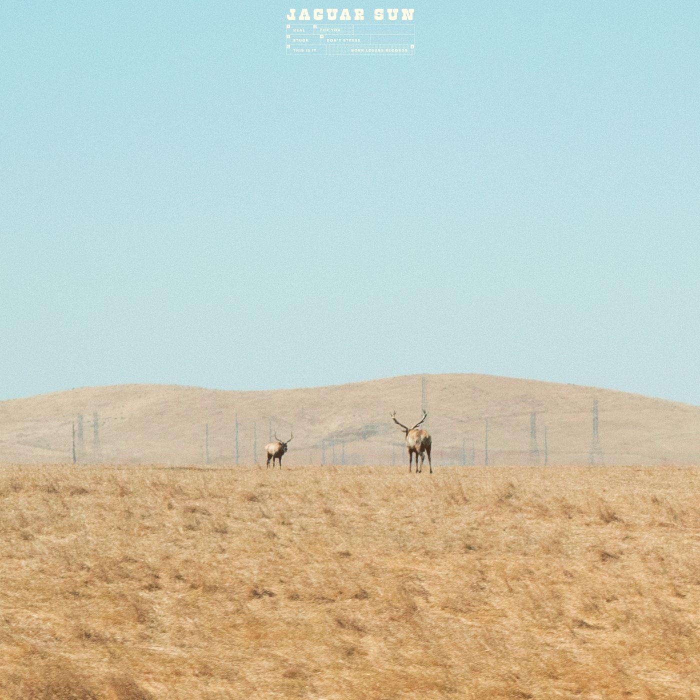 Jaguar Sun For You (Blue And Black Swirl Vinyl)