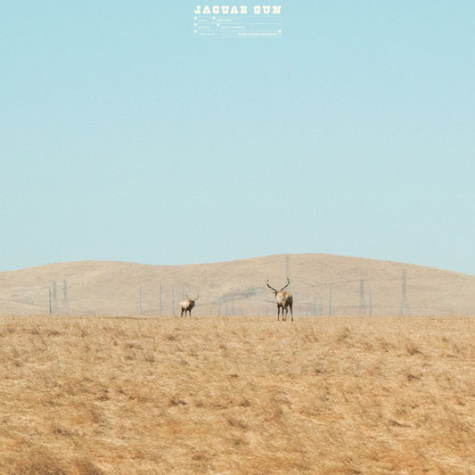 Jaguar Sun For You (Blue And Black Swirl Vinyl)