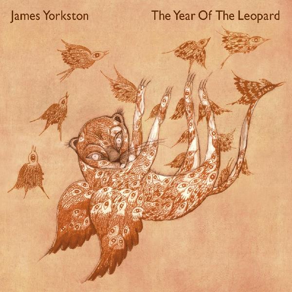 James Yorkston The Year Of The Leopard