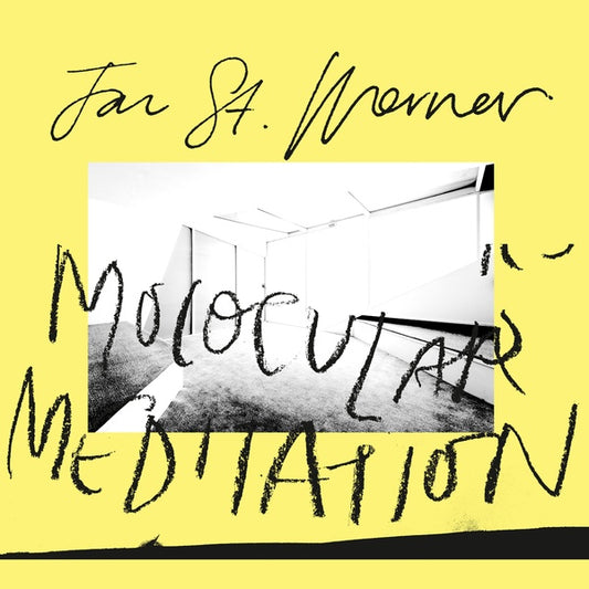 Jan St. Werner Molocular Meditation