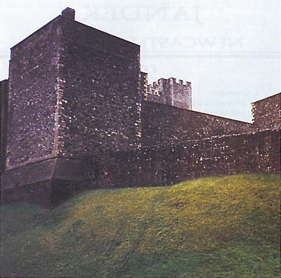 JANDEK Newcastle Sunday