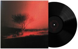 Joji Piss In The Wind [Explicit Content]