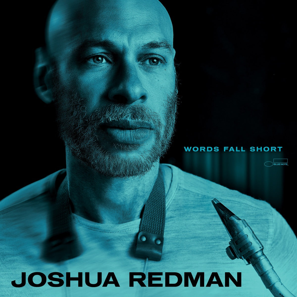 Joshua Redman Words Fall Short [180G Lp]