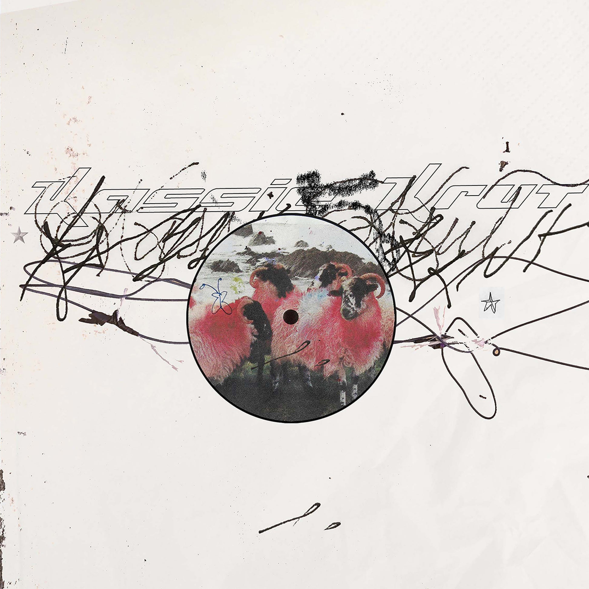 Kassie Krut Kassie Krut