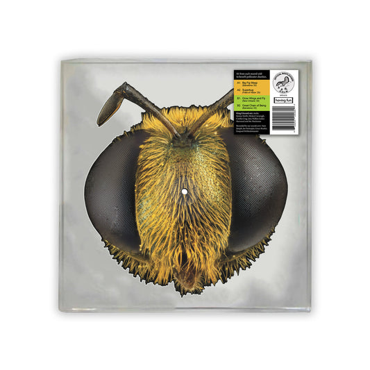 King Gizzard & The Lizard Wizard Big Fig Wasp (Bee/Bug Shaped Vinyl)