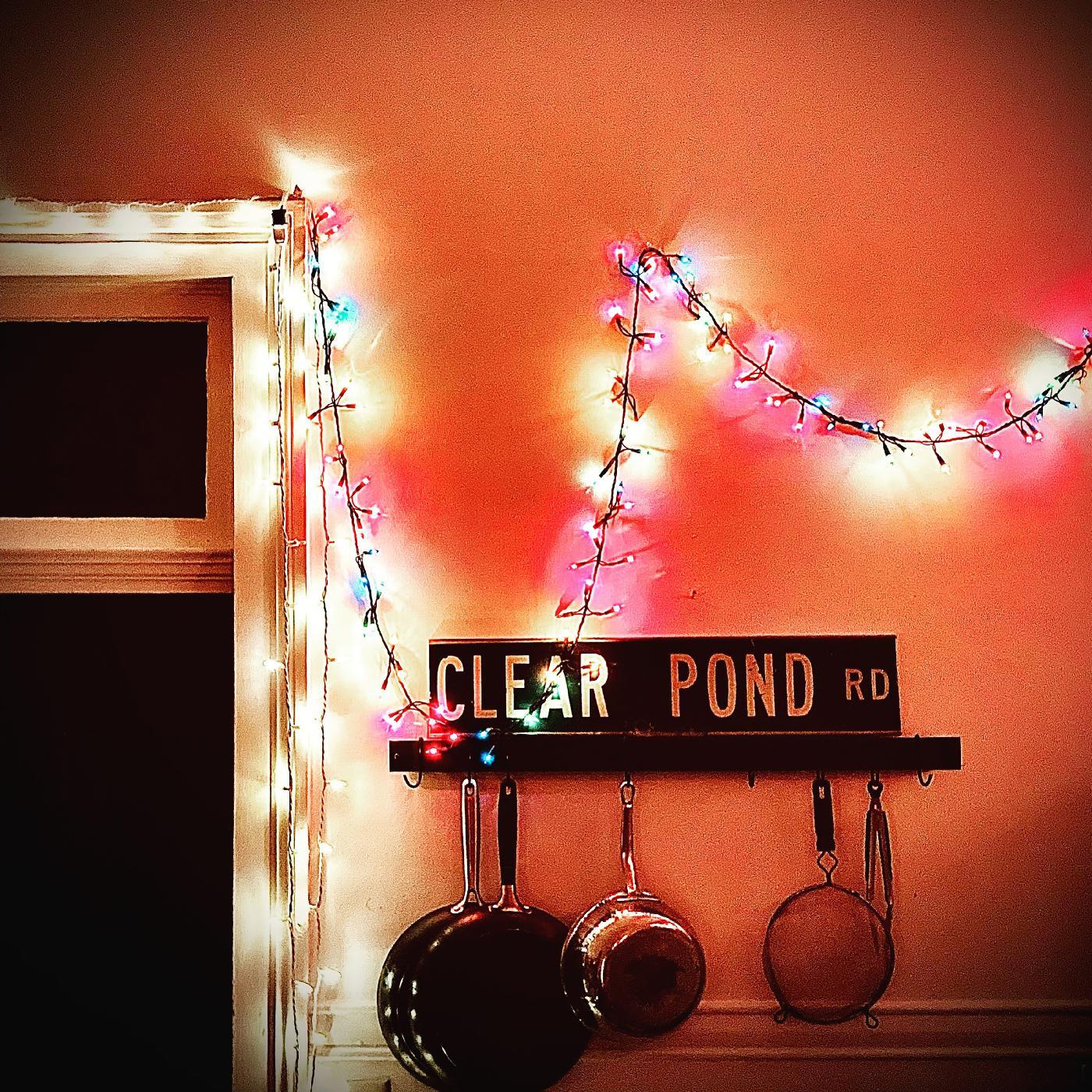 Kristin Hersh Clear Pond Road (CLEAR VINYL)