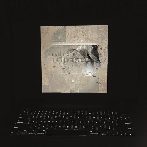 Lambchop The Bible (Colored Vinyl, Yellow, Black, Indie Exclusive, Digital Download Card) (2 Lp's)