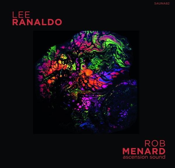 LEE RANALDO/ROB MENARD Lee Ranaldo/Rob Menard Split Release