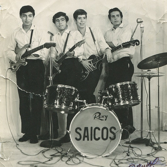 LOS SAICOS Demolicion