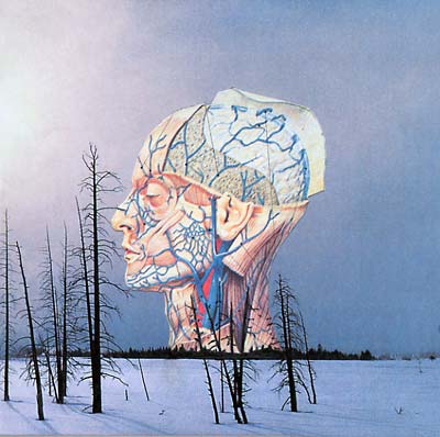 Low SONGS FOR A DEAD PILOT