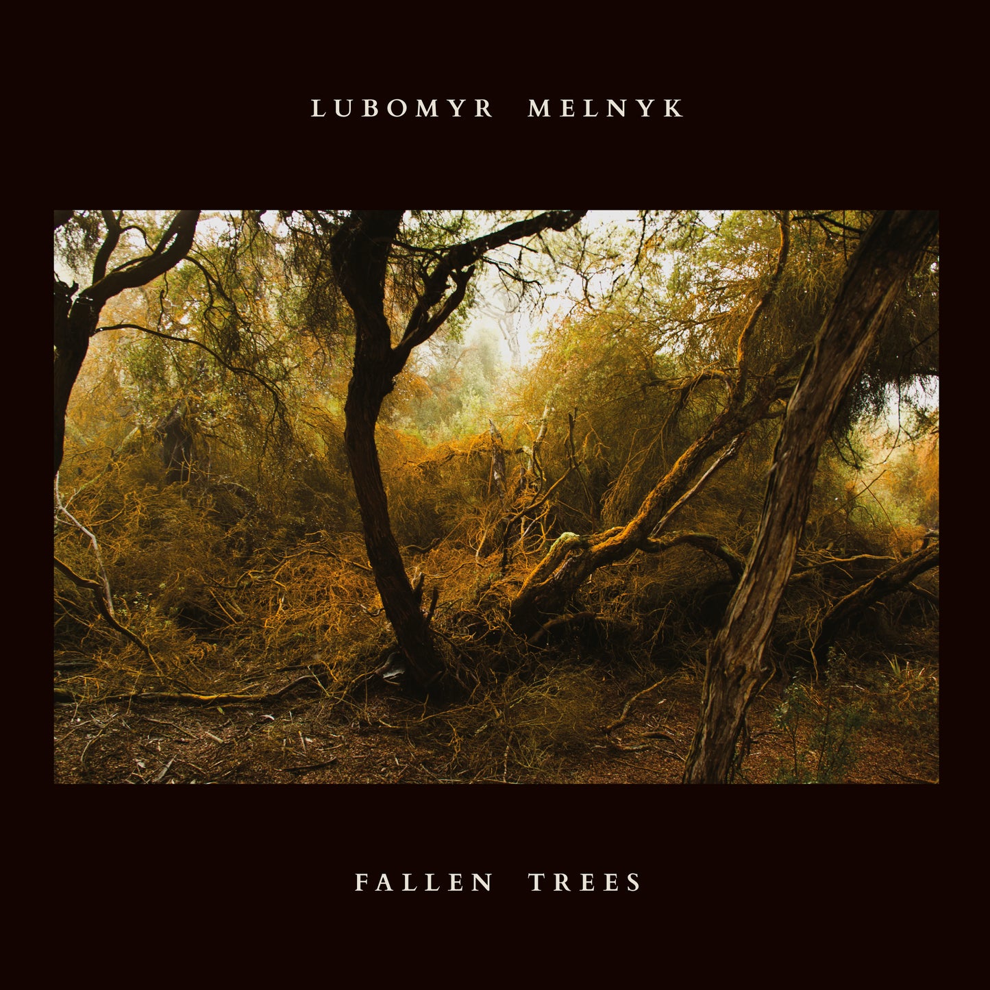 Lubomyr Melnyk Fallen Trees
