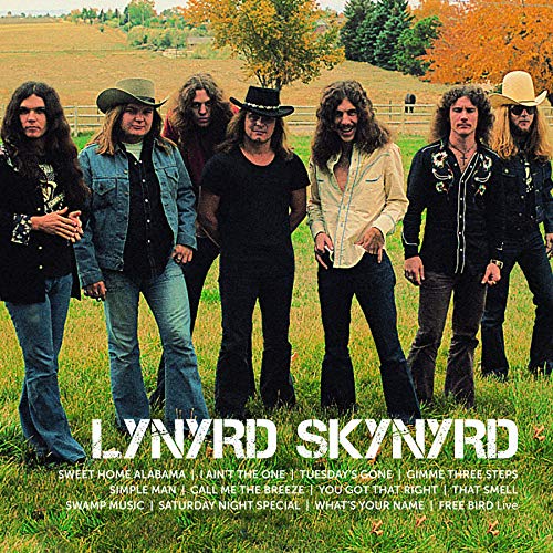 Lynyrd Skynyrd Icon (2 Lp's)