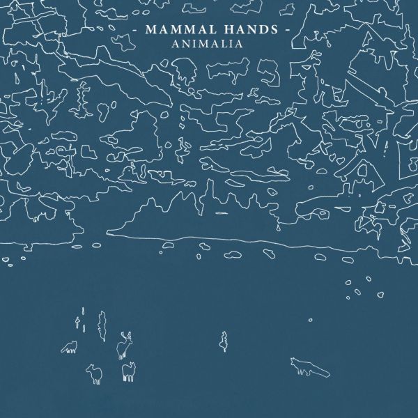 Mammal Hands Animalia