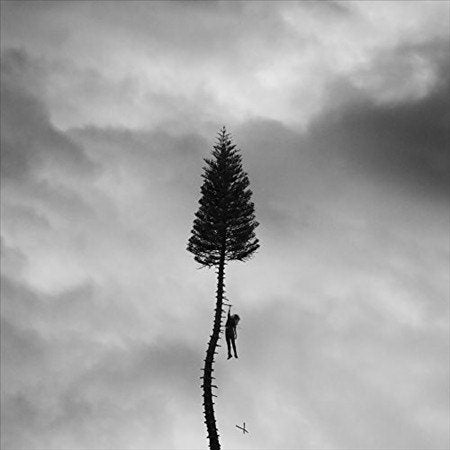 Manchester Orchestra A Black Mile To The Surface (Digital Download Card) (2 Lp's)