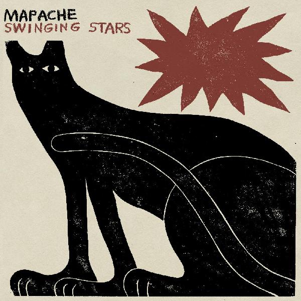 Mapache Swinging Stars