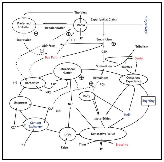 MATT CARLSON The View From Nowhere