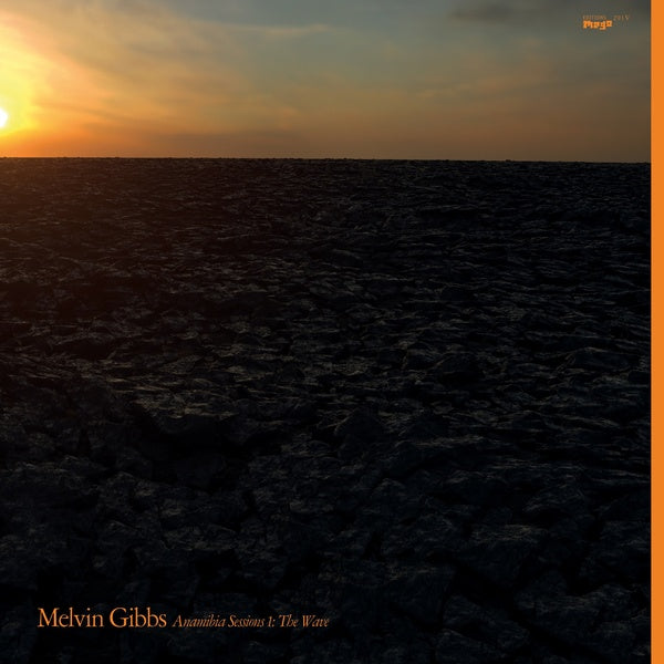 MELVIN GIBBS Anamibia Sessions 1: The Wave