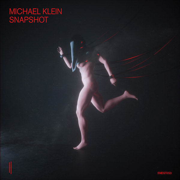 MICHAEL KLEIN Snapshot