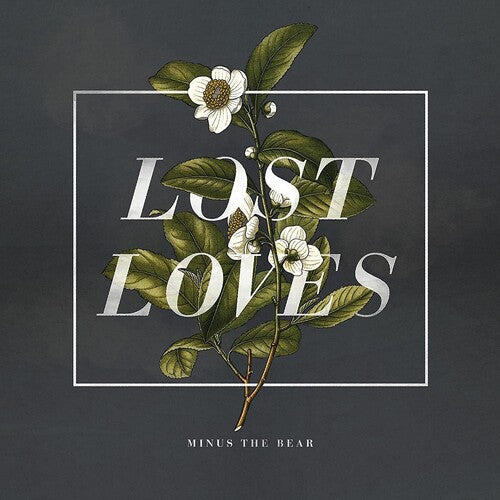 Minus The Bear Lost Loves