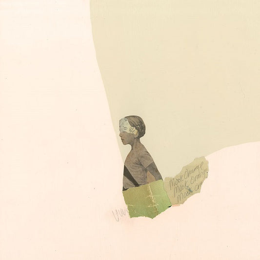 Mock Orange Put The Kid On The Sleeping Horse