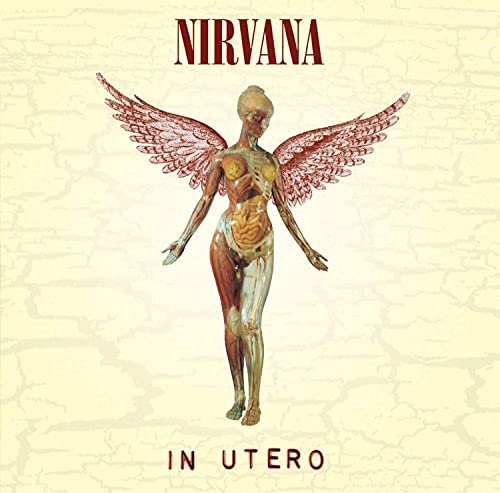 Nirvana In Utero (180 Gram Vinyl)