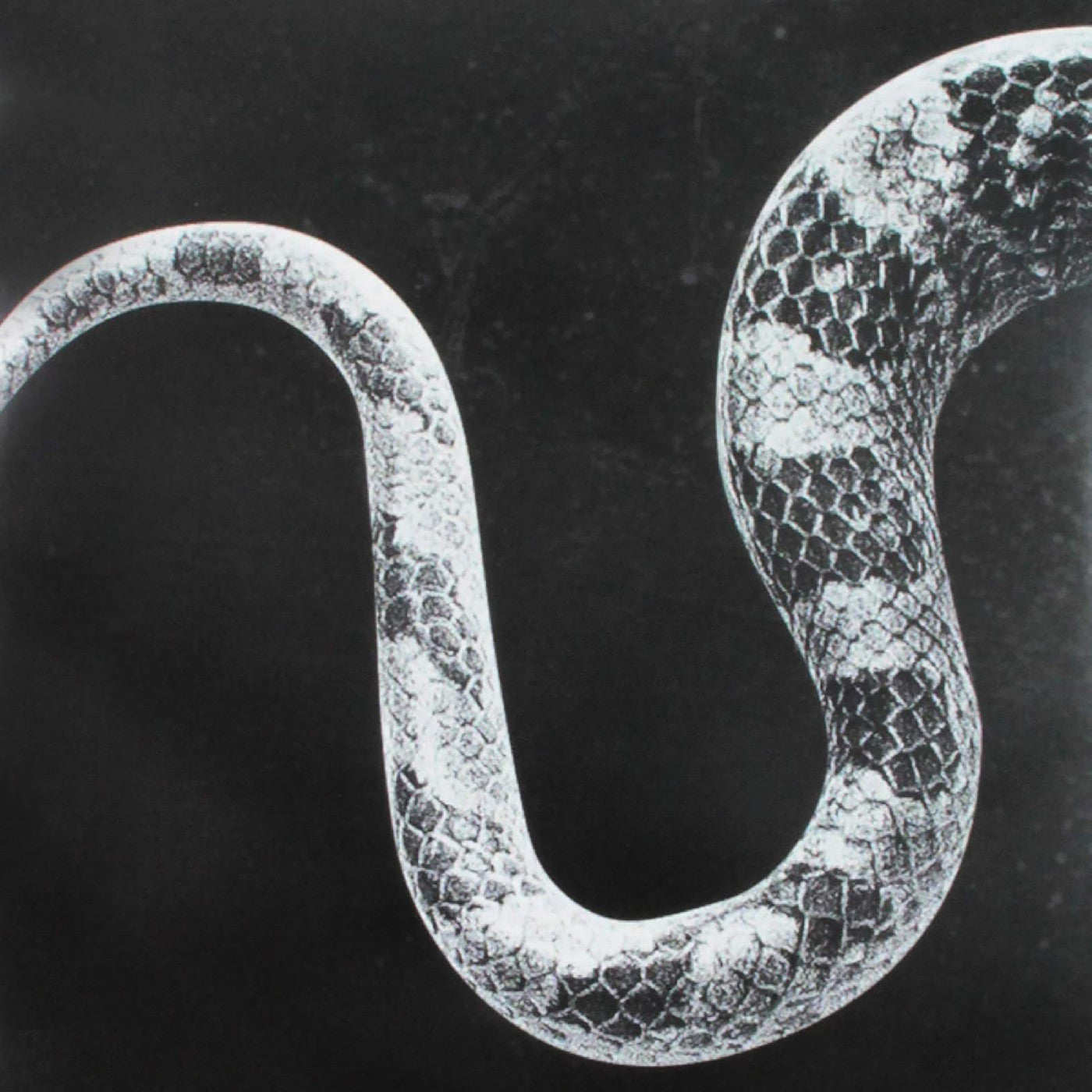 Noah Gundersen Sentimental Kids/Last Of The Leavers